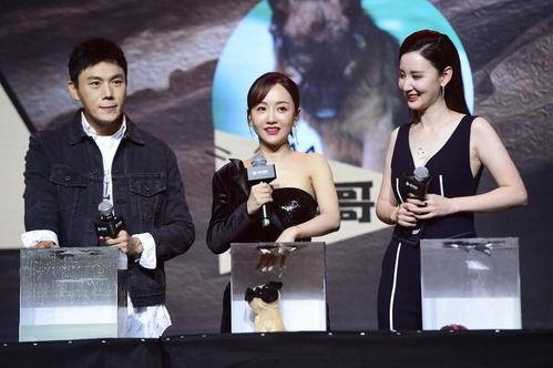 娱乐圈吃瓜爆料素材照片