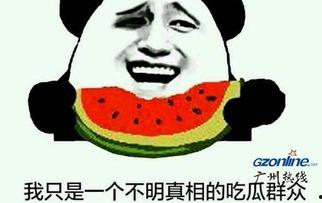 吃瓜群众在线围观,揭秘网络围观现象背后的真相